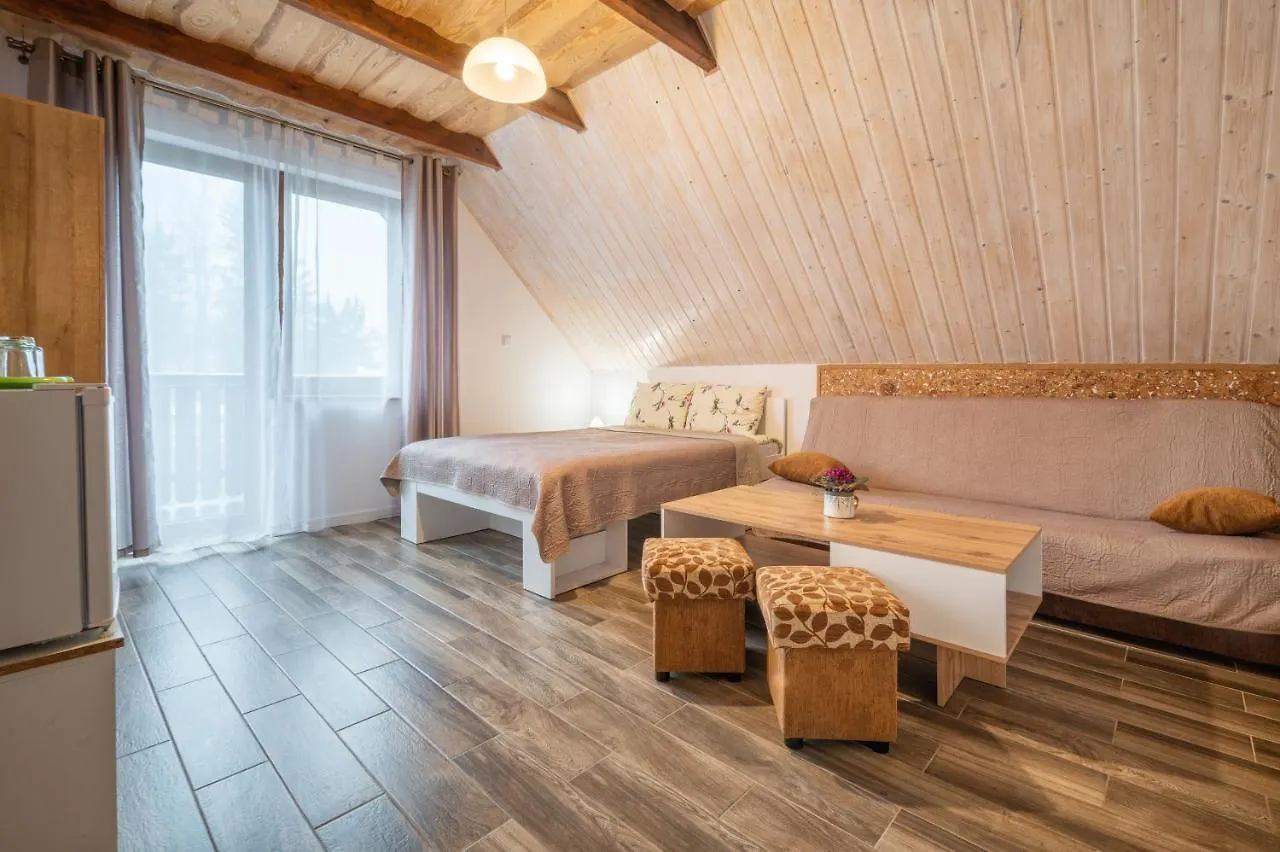 Sara Apartment Karpacz